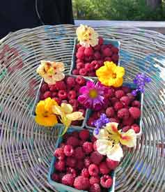 Raspberries and Flowers