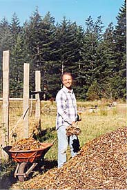 Anthony shoveling alder chips