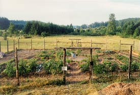 Garden overview