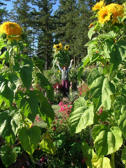 Janice in the garden